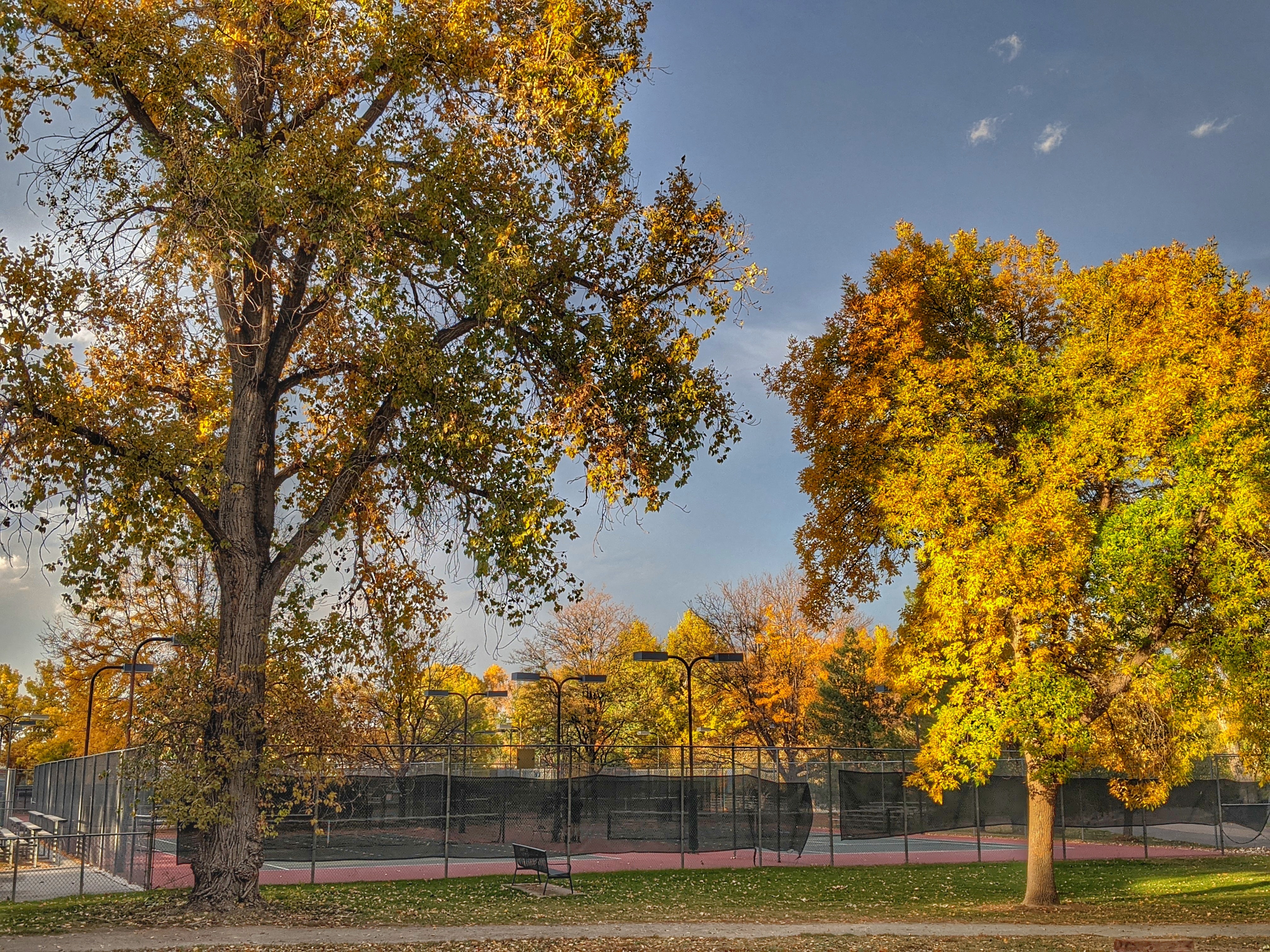 City Park Tennis Courts in Denver, Colorado - Tennis court