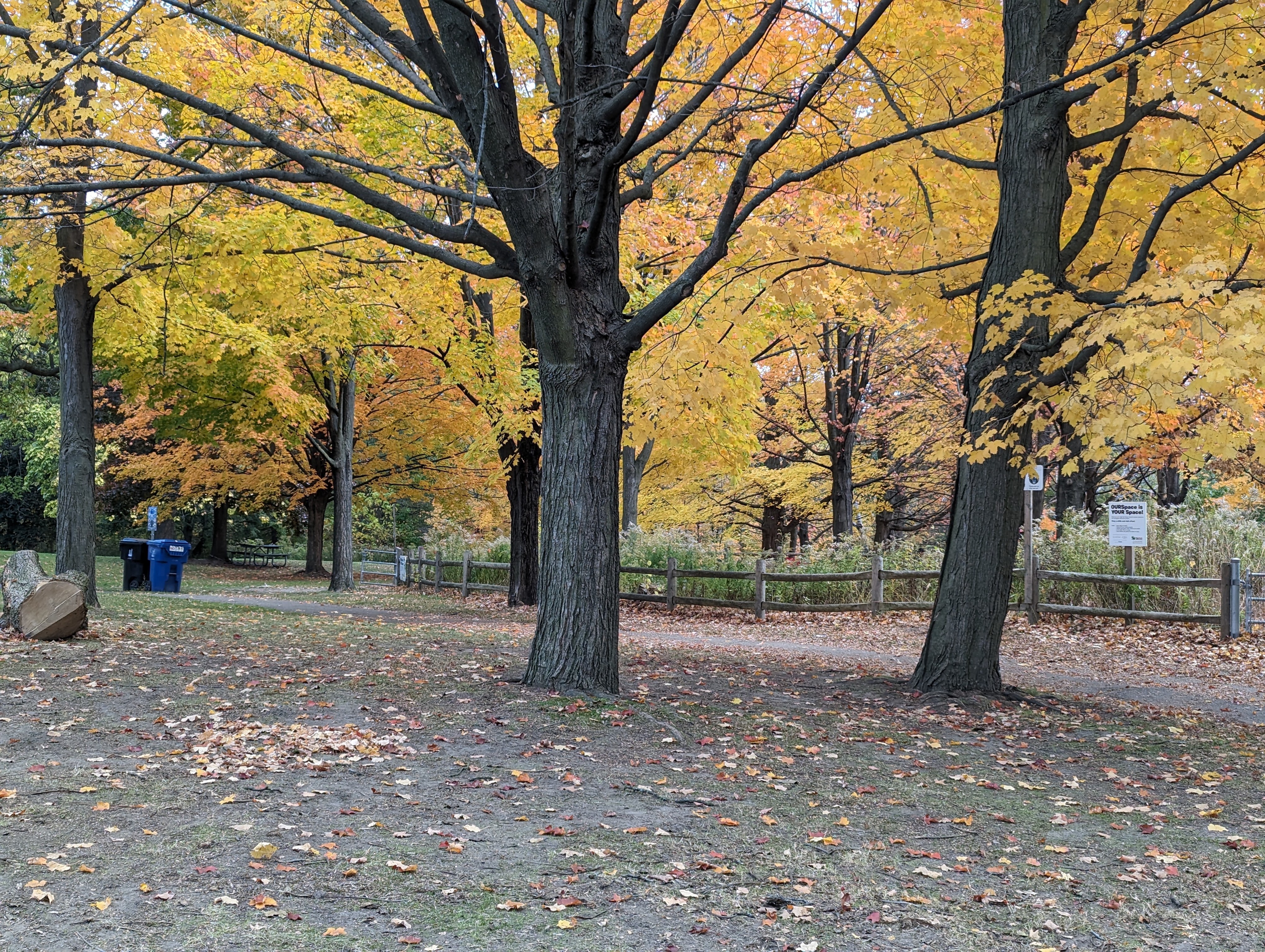 High Park Tennis Courts in Toronto, Ontario - Tennis court